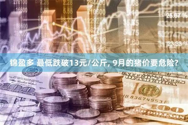 锦盈多 最低跌破13元/公斤, 9月的猪价要危险?