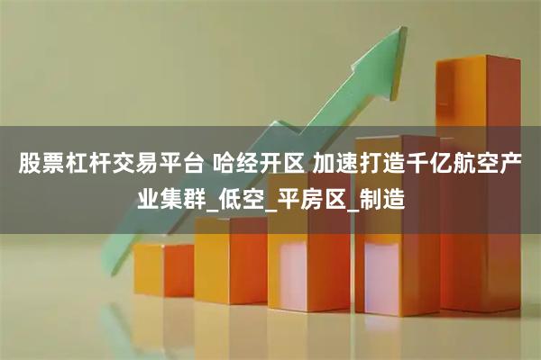 股票杠杆交易平台 哈经开区 加速打造千亿航空产业集群_低空_平房区_制造