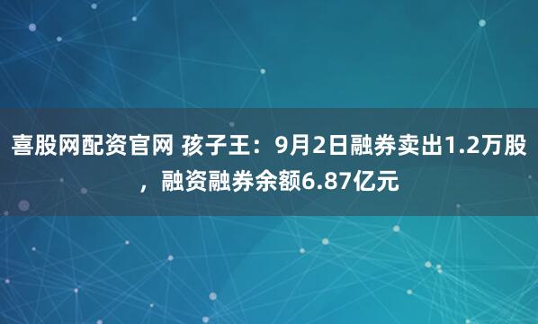 喜股网配资官网 孩子王：9月2日融券卖出1.2万股，融资融券余额6.87亿元